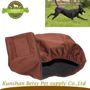 nyankomne hund i sæson ble.