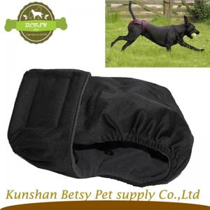 nyankomne hund i sæson ble.