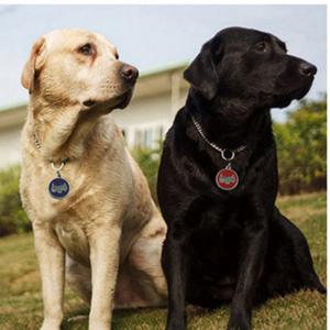 2018 Hot Sale Dog eller Cat ID Tags Graveret eller QR Kode Pet Tag