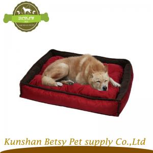 røde, driver hund senge