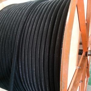 fleksible ledende polymer anode -