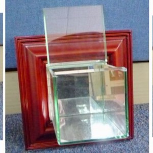 Vægmonteret baseball display taske