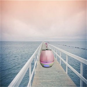 2018 nyankomne unge levende aroma diffusor af æterisk olie af æterisk olie