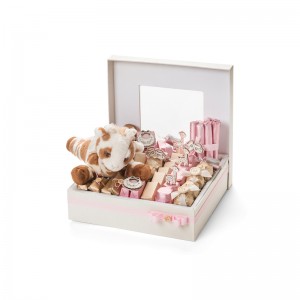 Varmt salg macaron emballage kasse med låg makaron kasse design