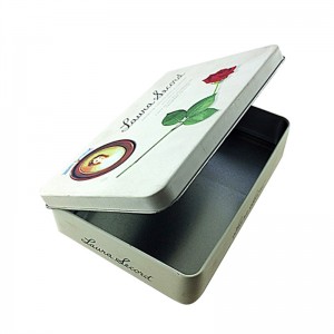 Brugerdefineret rektangulær kosmetisk tinkasse til ansigtsmaskeemballage med hængslet låg