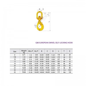 G80 Svingbar selvlås sikkerhedskrog malet