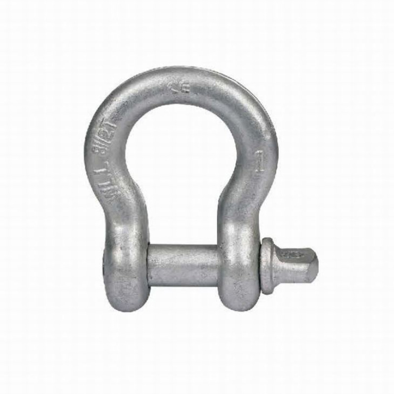 US Type Drop Forged Screw Pin Anchor Shackle