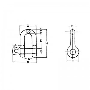 US Type Drop Forged Screw Pin Chain Chain Shackle