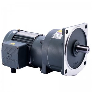 lodret medium gearmotor
