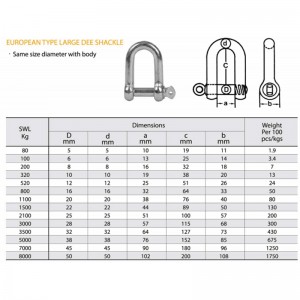 Europæisk type galvaniseret stor dye-kæde