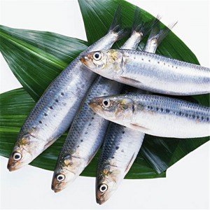 Frosset sardine