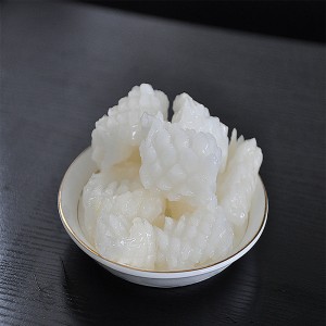 Frosset blæksprutte blomst