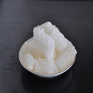 Frosset blæksprutte blomst