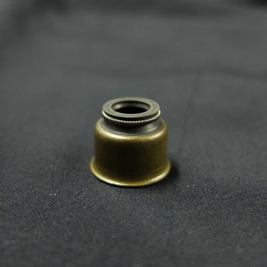 Høj kvalitet fremstillet i Kina Valve stamolie tætning til Ford biler