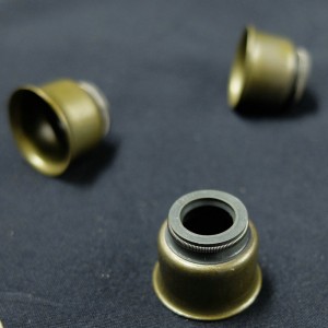 Høj kvalitet fremstillet i Kina Valve stamolie tætning til Ford biler