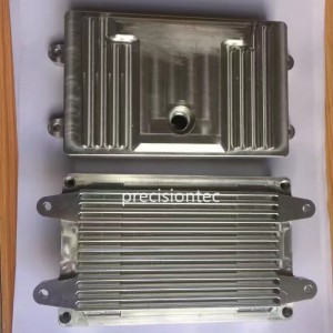 Opløsninger til præcis formaling