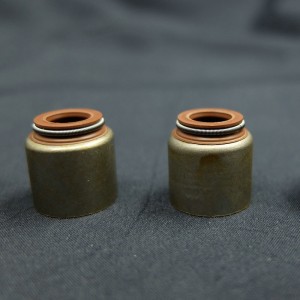 Kina leverandør Valve stammeolie tætning til Renault biler