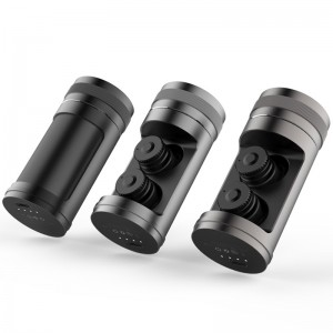 WS-36-Smart Voice Translator-øretelefoner med opladningsboks Trådløs øretelefon Dual Mic Translator til rejseforretning