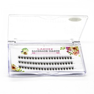 2D til 20 D Volumen-øjenvipper klyngeudvidelser