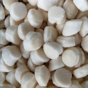 Frosset kammusling af kammuslinger