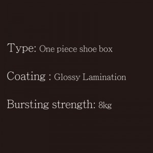 Sko Box-One Piece-Type3