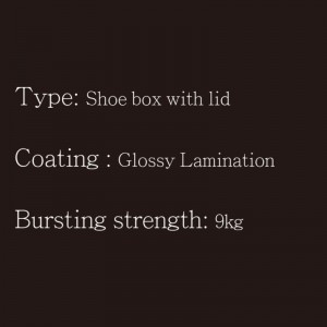 Sko boks med låg type2