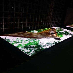 P8.928 Udendørs dansegulv Stage Led skærm / Led video væg