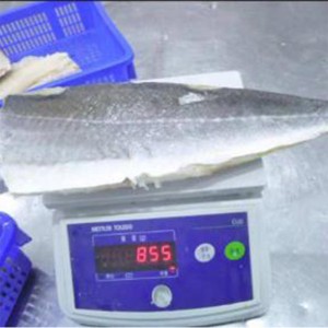 Frosne lettsaltede atlantiske seefileter