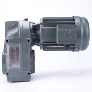 gearmotor F-serie
