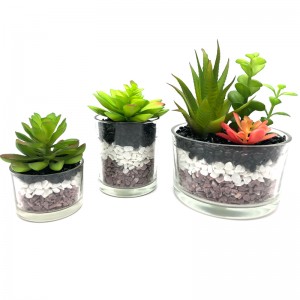 Kunstige sukkulente planter med glas bordplade dekorative klode Display Vase