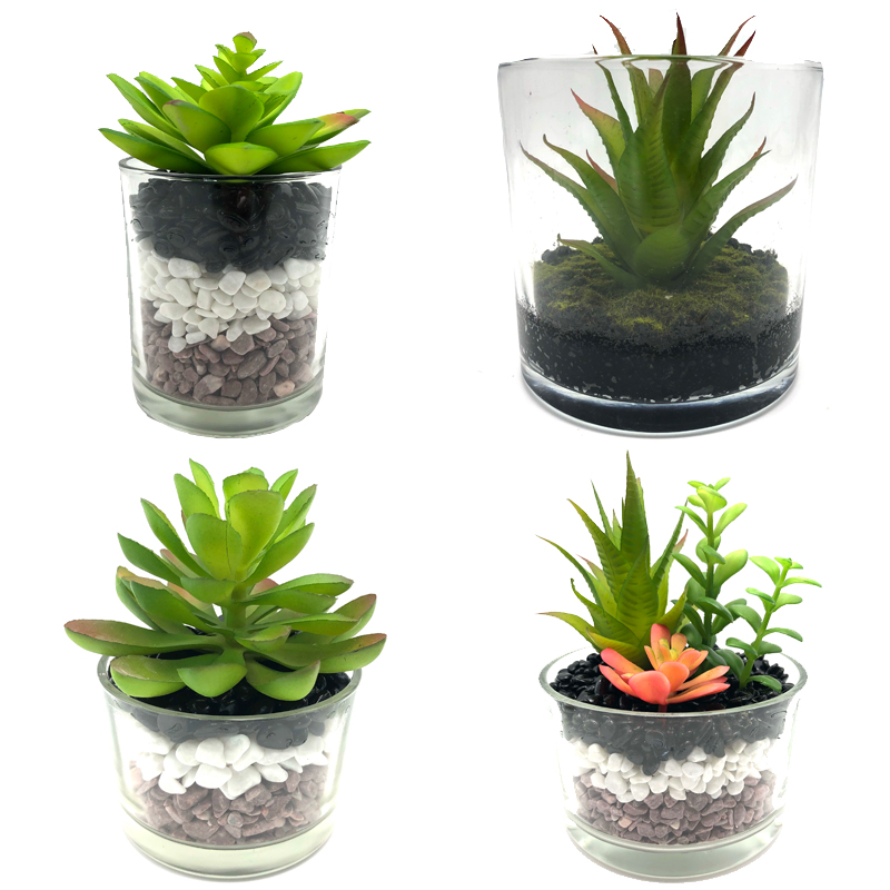 Kunstige sukkulente planter med glas bordplade dekorative klode Display Vase