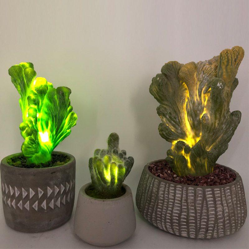 LED kunstig kaktus i dekorativ glaspotte Faux sukkulent dekoration