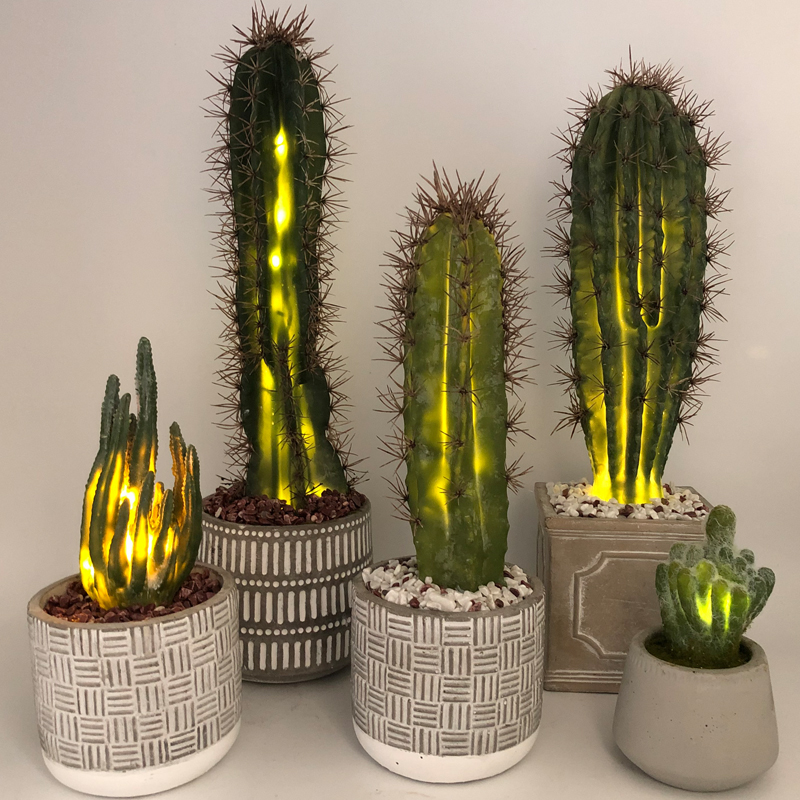LED kunstig kaktus i dekorativ glaspotte Faux sukkulent dekoration