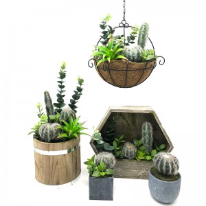 Moderne kunstige sukkulente planter med potten bordplade dekorative klode Display Vase
