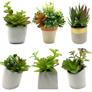 Mini kunstige sukkulente planter med potten bordplade dekorative klodeskærme Home Decor