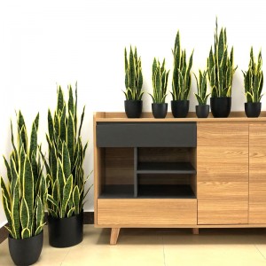 Kunstig svigermor's tunge, der er god som Snake Plant Home Office Decor