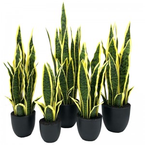 Kunstig svigermor's tunge, der er god som Snake Plant Home Office Decor