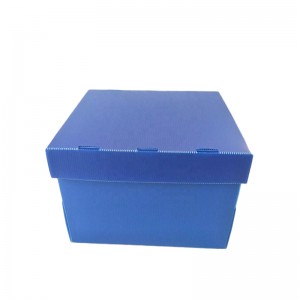 Frugt og grøntsagskasse