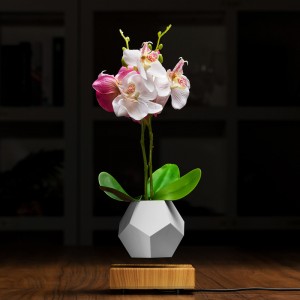 magnetisk leviterende flydende bundluft bonsai potplanters PA-0708