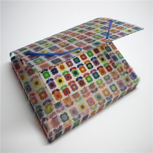 PP Plastic File box mappe med elastik