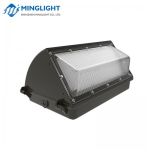 LED vægpakke lys WPB2 80W