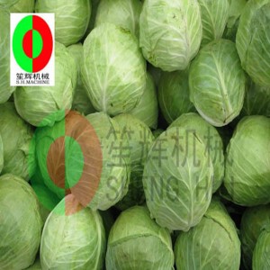 Kålkernemaskine TX-1000