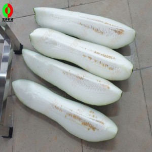 Frugt skæremaskine / melon frugt skæremaskine QD-1000