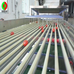 FJ-3000 frugt sorteringsmiddel