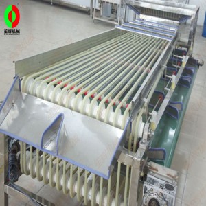 FJ-3000 frugt sorteringsmiddel