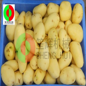 Melonfrugtrensemaskine / melonfrugtrensningsskrælningsmaskine / melonfrugtbørsterensningsskrælningsmaskine QX-612 ny