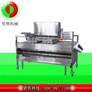 Frugtrens / frugtrens / frugtbørsterenser (dybrensning) QM-2