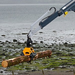 Træhåndtering Gantry Crane