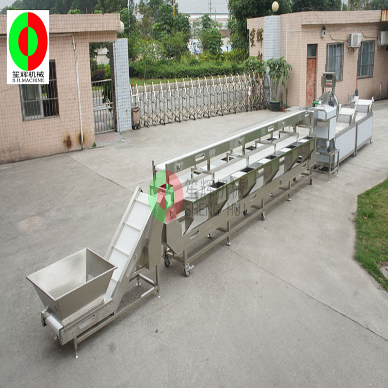 Multifunktionel vegetabilsk vaskemaskine / vegetabilsk vaskemaskine produktionslinje / tre-lags sortering ren vegetabilsk forarbejdning produktionslinje