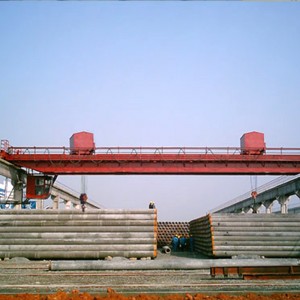 Dobbelt bjælke kran med dobbelt vogn